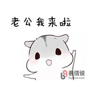 仓鼠卖萌打招呼 老公我来啦