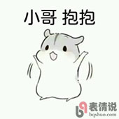 仓鼠求抱抱表情包 小哥抱抱