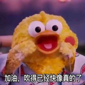 鹦鹉兄弟表情包第1弹 最新鹦鹉兄弟表情系列