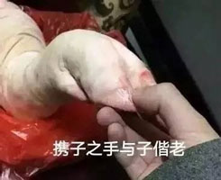 嫁给我好吗系列,畜生放开那个猪蹄表情包下载,斗图必备表情.
