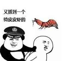 皮皮虾我们走表情包第三弹 皮皮虾系列表情大全