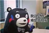 我就是不挂科表情 熊本熊有考神眷顾图片