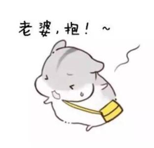 老婆说什么都是对的 仓鼠带字表情 好喜欢老婆 小娘子,早安