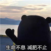 减肥表情包第五弹 熊本熊减肥表情包下载