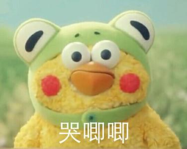 鹦鹉兄弟表情包第2弹 鹦鹉兄弟最新表情大全